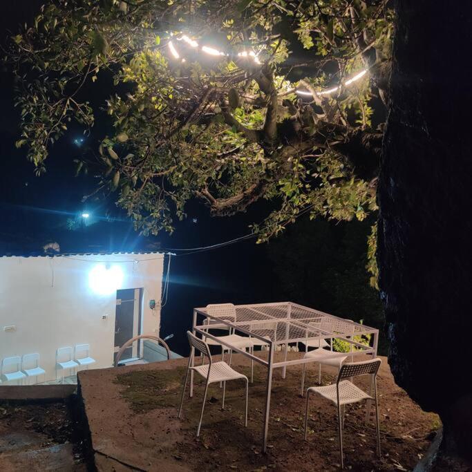 Valley Nest For 6-12 Pax Mount Abu Bagian luar foto
