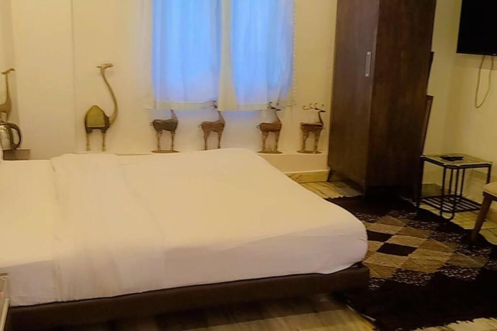 Valley Nest For 6-12 Pax Mount Abu Bagian luar foto