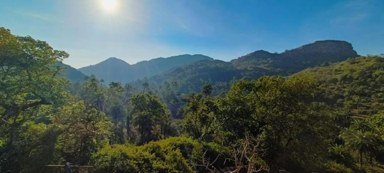 Valley Nest For 6-12 Pax Mount Abu Bagian luar foto